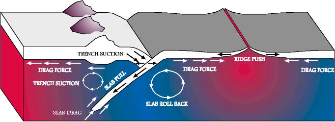 Driving Forces of Plate Motion.